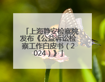 上海静安检察院发布《公益诉讼检察工作白皮书（2024）》