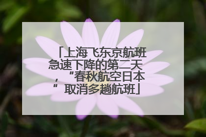 上海飞东京航班急速下降的第二天，“春秋航空日本”取消多趟航班