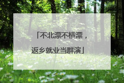 不北漂不横漂，返乡就业当群演