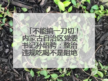 不能搞一刀切！内蒙古自治区党委书记孙绍骋：整治违规吃喝不是阻绝正常人际交往、黯淡人间烟火