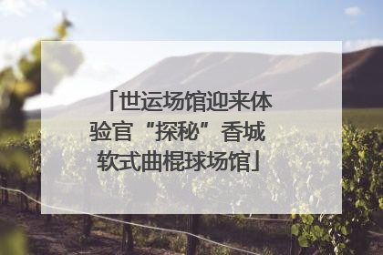 世运场馆迎来体验官“探秘”香城软式曲棍球场馆