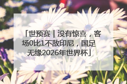 世预赛｜没有惊喜，客场0比1不敌印尼，国足无缘2026年世界杯