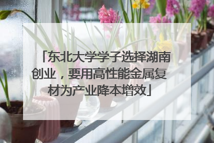 东北大学学子选择湖南创业，要用高性能金属复材为产业降本增效
