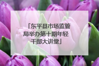 东平县市场监管局举办第十期年轻干部大讲堂