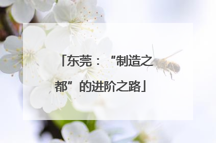 东莞：“制造之都”的进阶之路