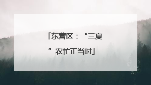 东营区：“三夏”农忙正当时
