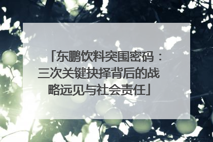 东鹏饮料突围密码：三次关键抉择背后的战略远见与社会责任