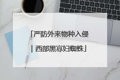 严防外来物种入侵｜西部黑寡妇蜘蛛