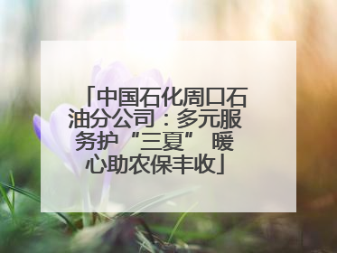 中国石化周口石油分公司：多元服务护“三夏” 暖心助农保丰收
