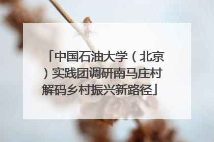 中国石油大学（北京）实践团调研南马庄村解码乡村振兴新路径