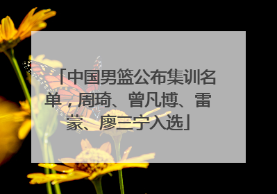 中国男篮公布集训名单，周琦、曾凡博、雷蒙、廖三宁入选