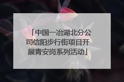中国一冶湖北分公司信阳步行街项目开展青安岗系列活动