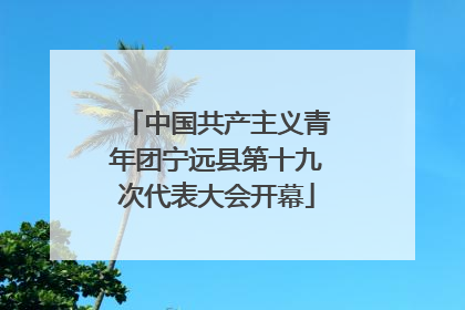 中国共产主义青年团宁远县第十九次代表大会开幕