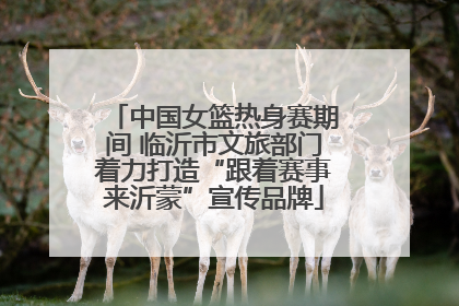 中国女篮热身赛期间 临沂市文旅部门着力打造“跟着赛事来沂蒙”宣传品牌