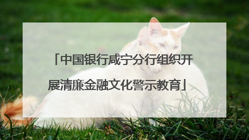 中国银行咸宁分行组织开展清廉金融文化警示教育