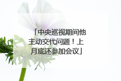 中央巡视期间他主动交代问题！上月底还参加会议