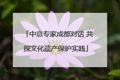 中意专家成都对话 共探文化遗产保护实践