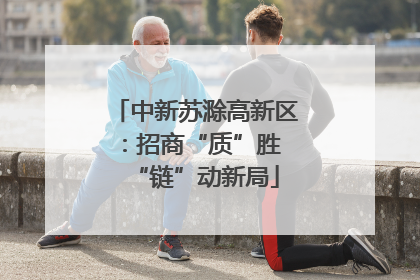 中新苏滁高新区：招商“质”胜 “链”动新局