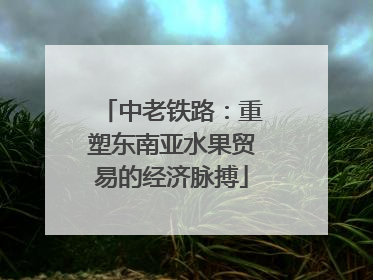 中老铁路：重塑东南亚水果贸易的经济脉搏