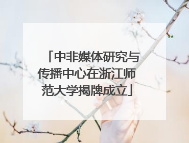 中非媒体研究与传播中心在浙江师范大学揭牌成立