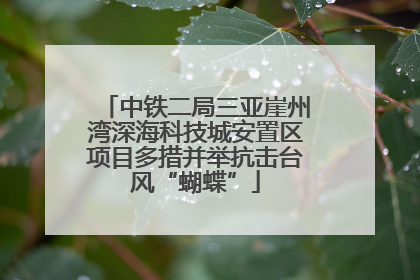 中铁二局三亚崖州湾深海科技城安置区项目多措并举抗击台风“蝴蝶”