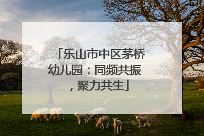 乐山市中区茅桥幼儿园：同频共振，聚力共生