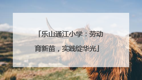 乐山通江小学：劳动育新苗，实践绽华光