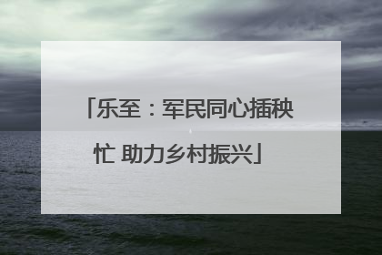 乐至：军民同心插秧忙 助力乡村振兴