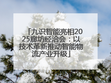 九识智能亮相2025廊坊经洽会：以技术革新推动智能物流产业升级