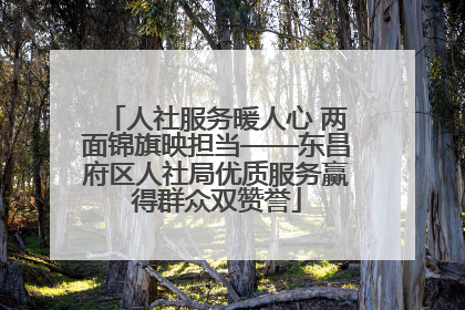 人社服务暖人心 两面锦旗映担当——东昌府区人社局优质服务赢得群众双赞誉