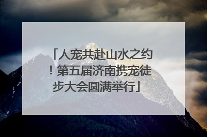 人宠共赴山水之约！第五届济南携宠徒步大会圆满举行