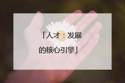 人才：发展的核心引擎