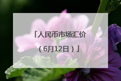 人民币市场汇价（6月12日）