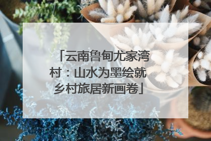 云南鲁甸尤家湾村：山水为墨绘就乡村旅居新画卷