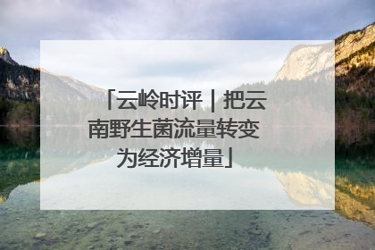 云岭时评｜把云南野生菌流量转变为经济增量