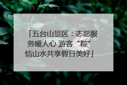 五台山景区：志愿服务暖人心 游客“粽”情山水共享假日美好