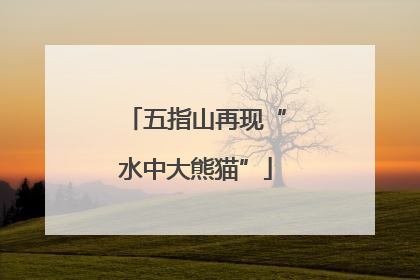 五指山再现“水中大熊猫”