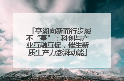 亭湖向新而行步履不“亭”：科创与产业互融互促，催生新质生产力澎湃动能