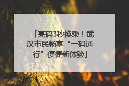 亮码3秒换乘！武汉市民畅享“一码通行”便捷新体验