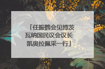 任振鹤会见博茨瓦纳国民议会议长凯奥拉佩采一行