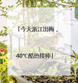 今天浙江出梅，40℃酷热接棒