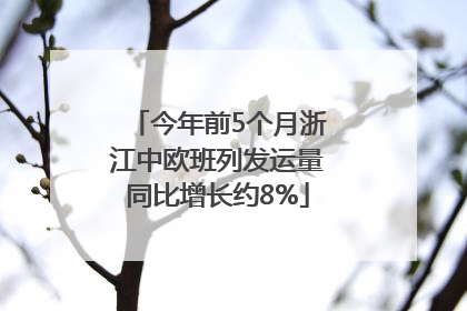 今年前5个月浙江中欧班列发运量同比增长约8%