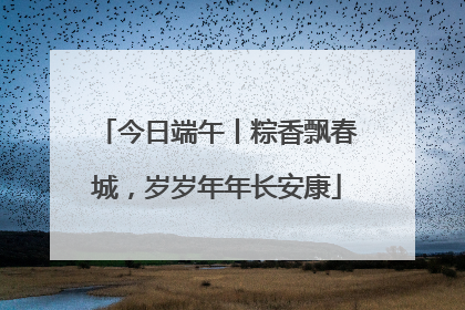 今日端午丨粽香飘春城，岁岁年年长安康