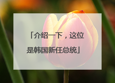 介绍一下，这位是韩国新任总统