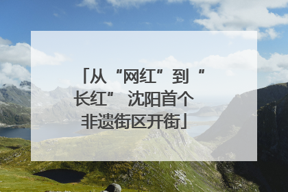 从“网红”到“长红” 沈阳首个非遗街区开街