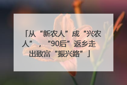 从“新农人”成“兴农人”，“90后”返乡走出致富“振兴路”