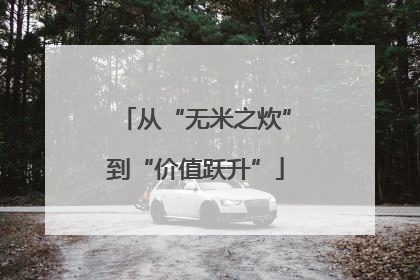 从“无米之炊”到“价值跃升”