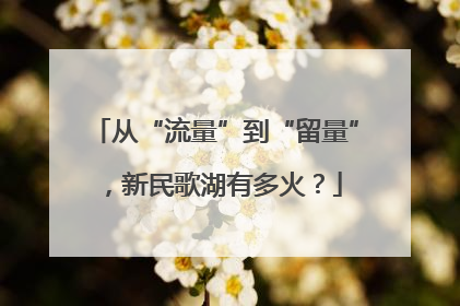 从“流量”到“留量”，新民歌湖有多火？