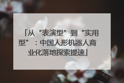 从“表演型”到“实用型”：中国人形机器人商业化落地探索提速