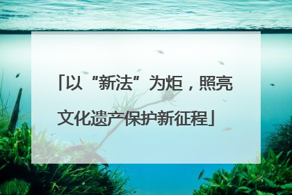 以“新法”为炬，照亮文化遗产保护新征程